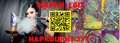 амф Новодвинск