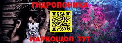 трава Новозыбков