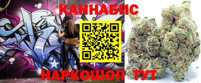 амф Новодвинск