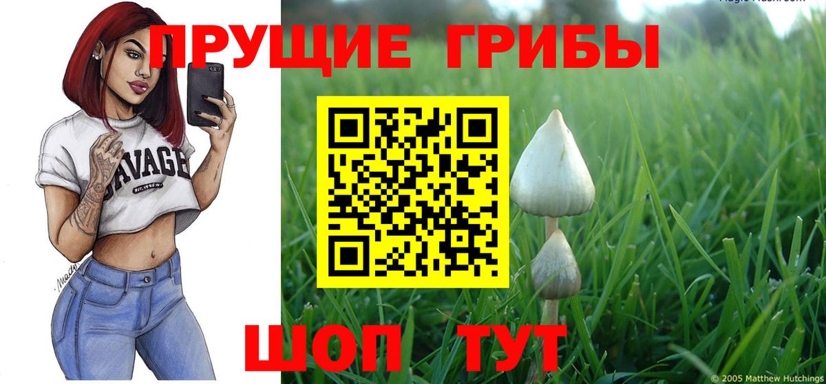 Улан-Удэ  Галлюциногенные грибы мухоморы  Галлюциногенные грибы Psilocybe  сколько стоит  Вход с VPN 